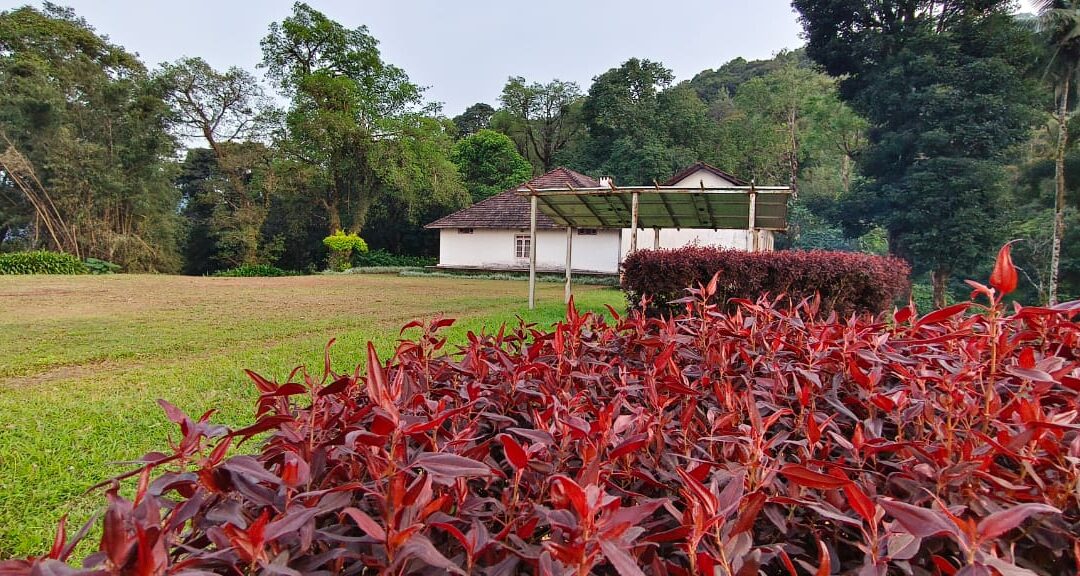 Why Owning Farmland Brings You Closer to Nature