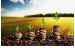 agricultural land investment