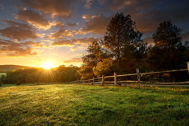 Soil Health and Sustainable Agriculture