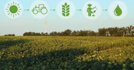 What is Managed Farmland? A Beginner’s Guide