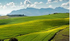 farmland investment opportunity