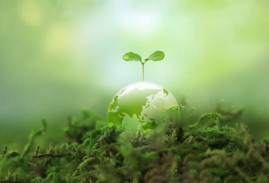 How Owning Farmland Connects You Back to Nature