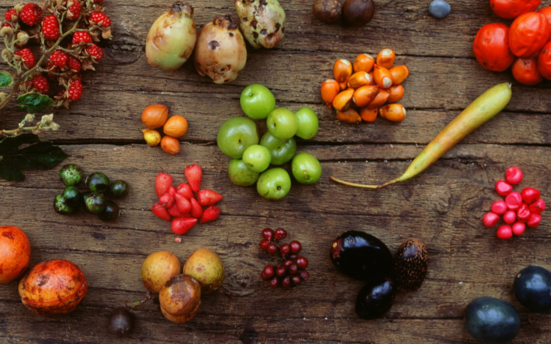 The Sweet Life: Why Your Backyard Needs a Fruit Orchard
