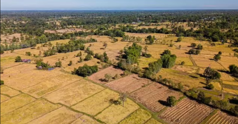 The Growing Demand for Farmland Investment in Karnataka