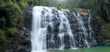 7 Benefits of Owning Farmland in Coorg