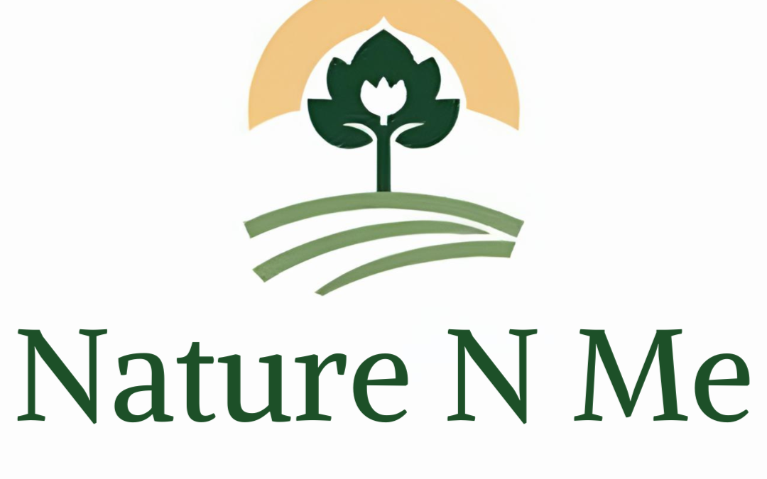 Who Should Consider Nature N Me’s Mysore Managed Farmland Project — A Practical Guide to Investor Fit