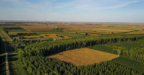 AGROFORESTRY agroforestry