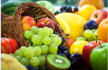 How Long Do Fruit Trees Take to Produce Income and Is the Wait Worth It?