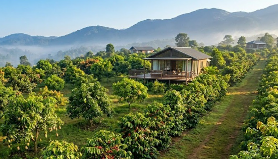 Why Young Indians in Their Late 20s Should Start Thinking About Farmland Investment Now
