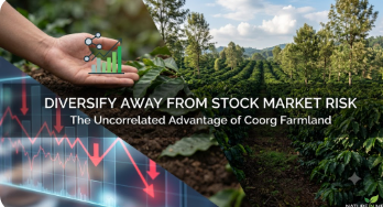 How Farmland in Coorg Helps You Diversify Away from Stock Market Risk