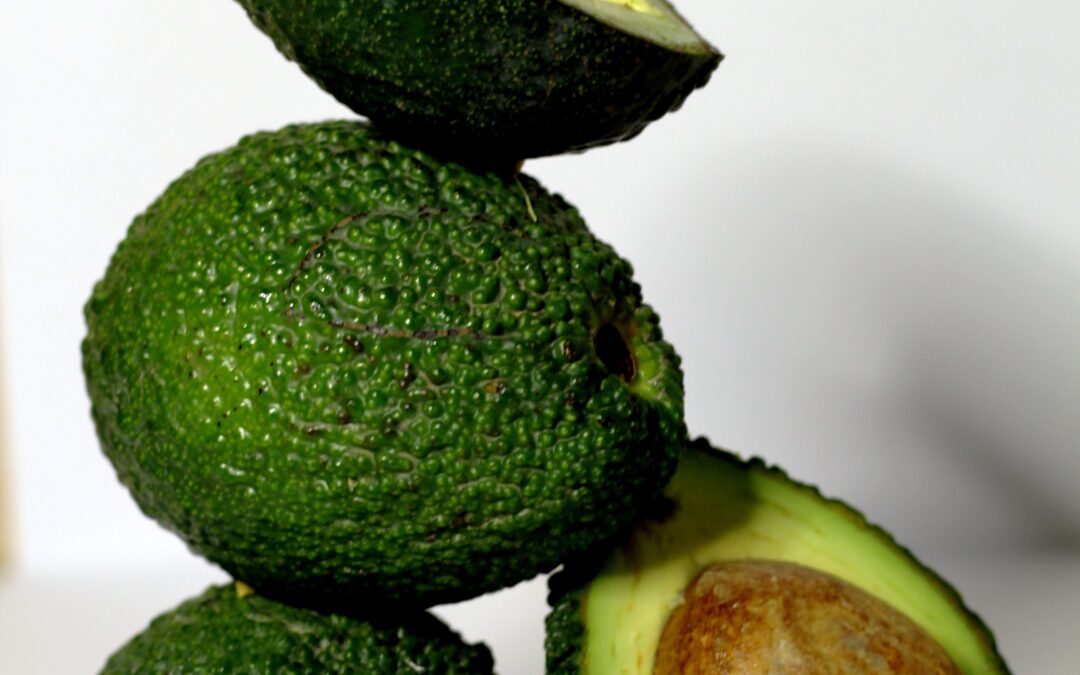 Avocado Farming in Coorg: The High-Value Crop That Is Changing the Economics of Western Ghats Farmland