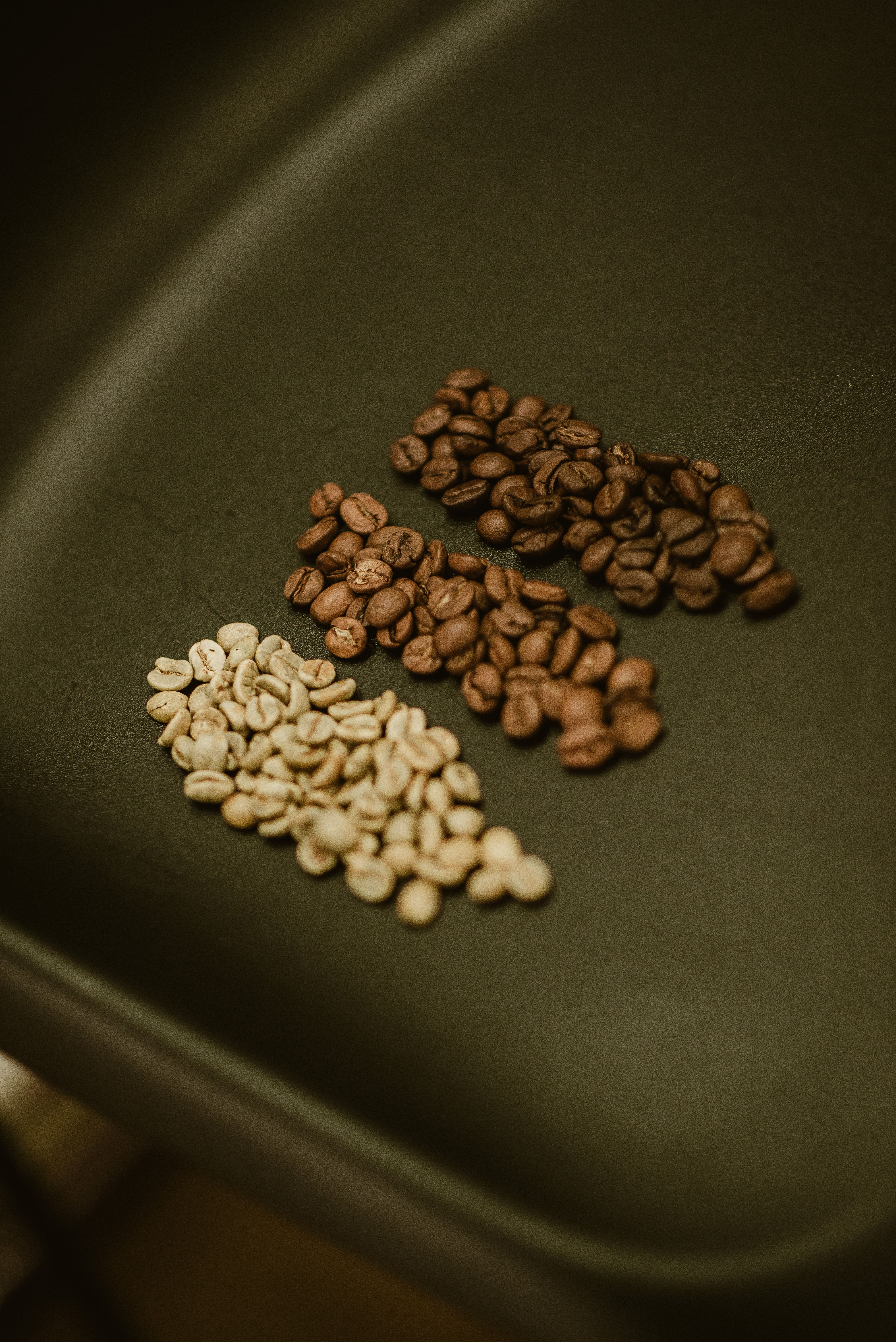 The Coorg Coffee Belt vs the Chikmagalur Coffee Belt: How Do They Compare for Farmland Investment?