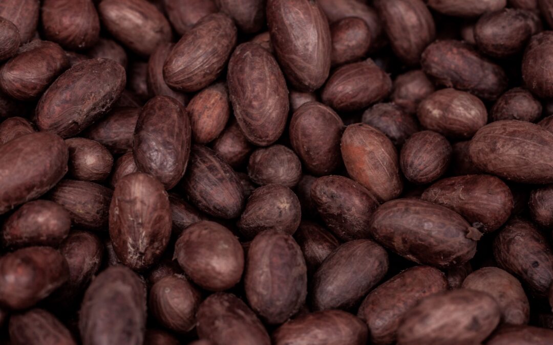 Cocoa Farming in Coorg: How India’s Growing Chocolate Industry Is Creating a New Crop Opportunity on Western Ghats Farmland