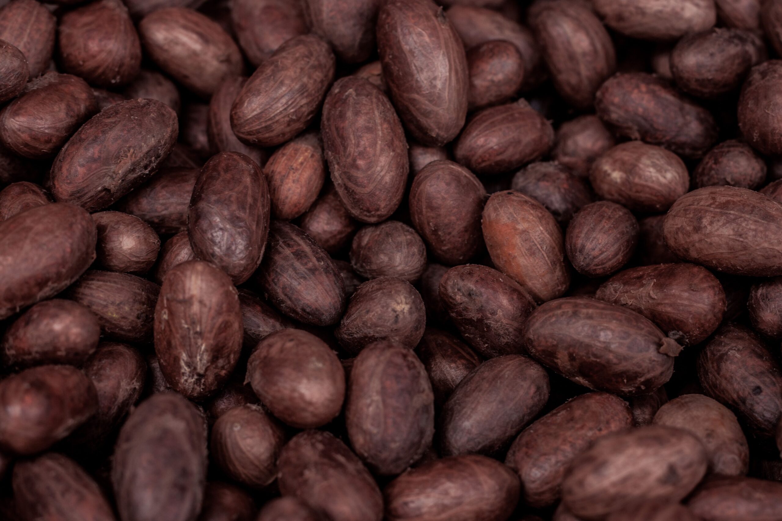 cocoa