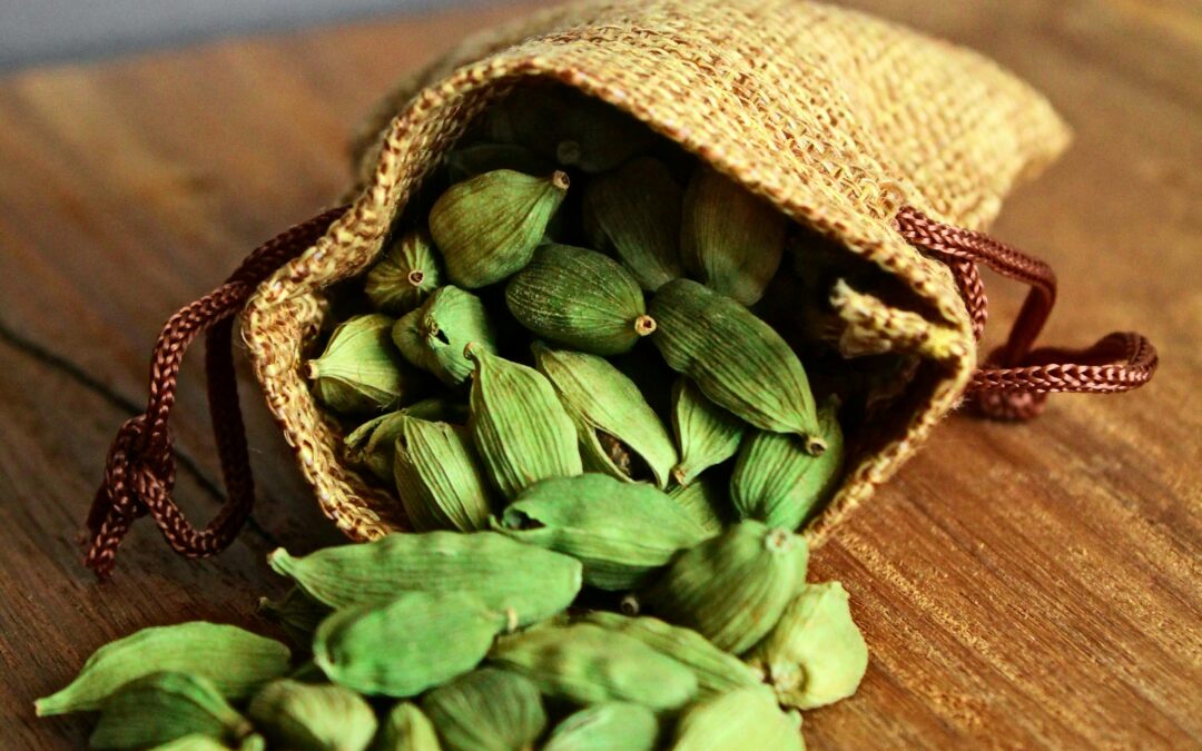Cardamom Farming in Coorg: Why the Queen of Spices Is One of the Most Profitable Crops for Farmland Investors