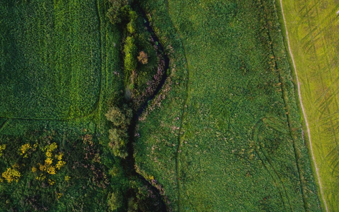 How Long Should You Hold Coorg Farmland? A Guide to Optimal Investment Horizons