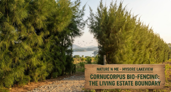 Cornucorpus Bio-Fencing: The Innovative Boundary System on  Mysore Estate