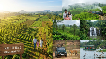 How Mysore’s Proximity to Ooty and the Nilgiris Adds a Multi-Destination Dimension to Farmland Estate Visits