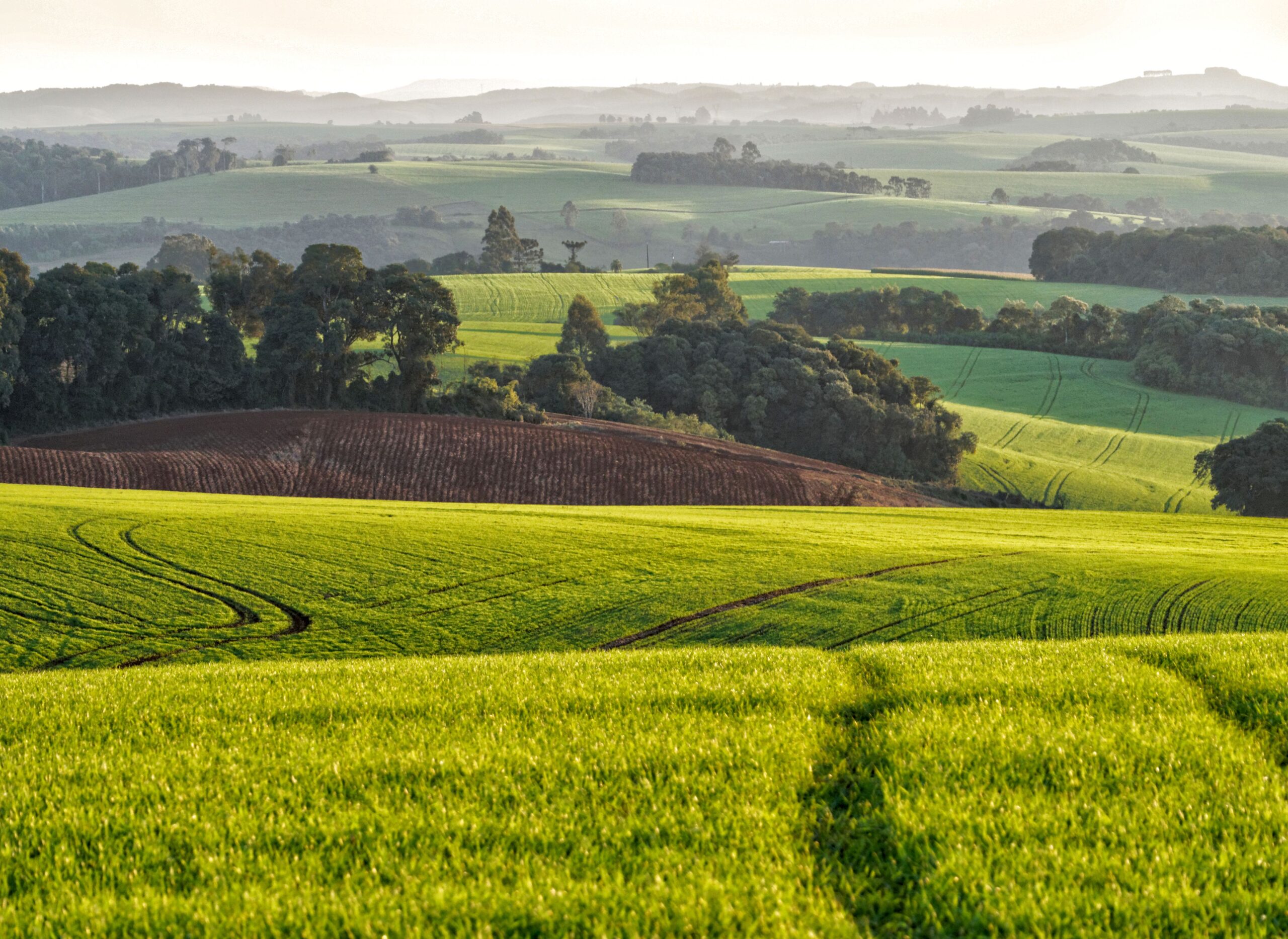 What Is the Total Return From a 5-Acre Agroforestry Farmland Plot Over 15 Years — A Complete Calculation