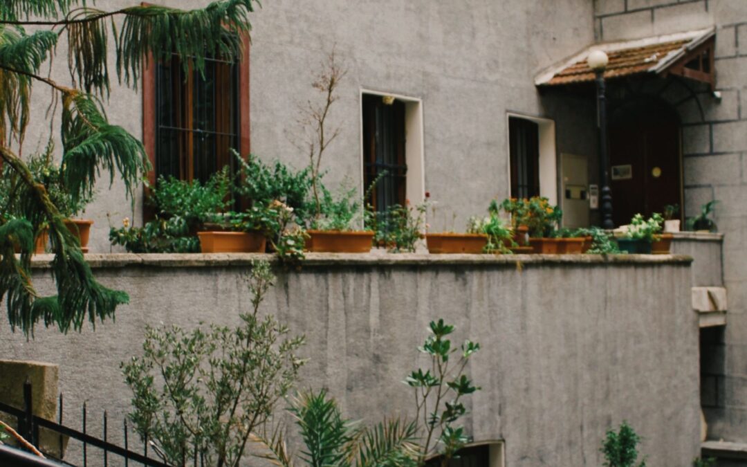 Urban Terrace Gardening: Mistakes to Avoid for Better Yield