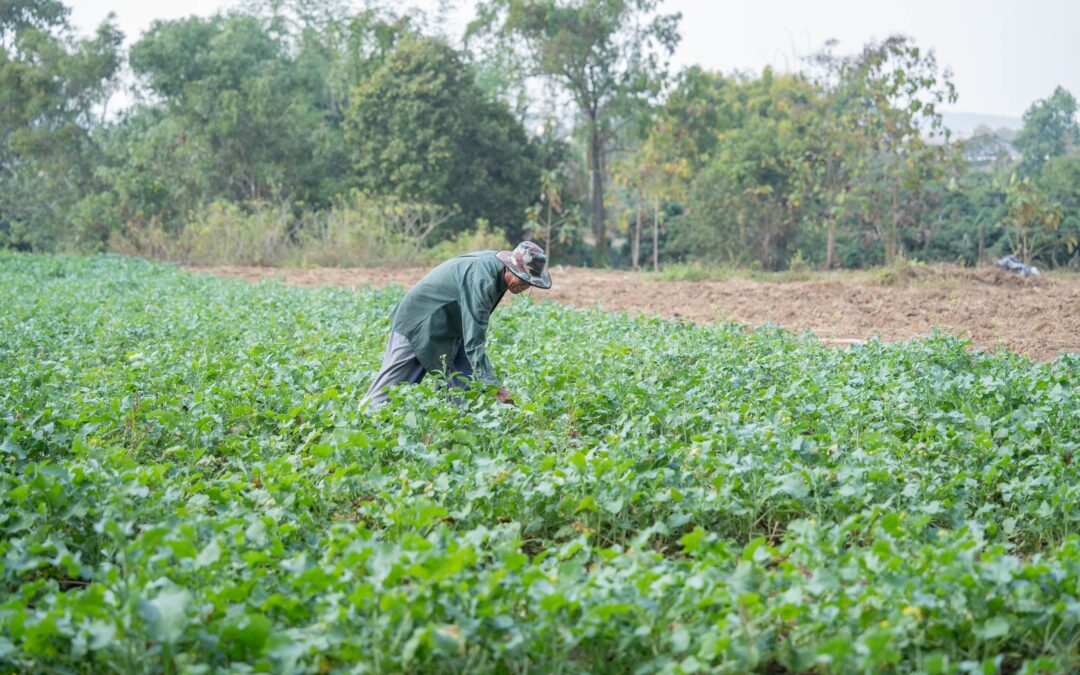 What Happens to My Managed Farmland Investment if I Pass Away — Who Inherits and How?