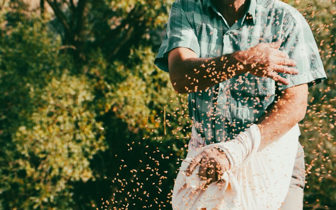 What Is the Difference Between Grafted and Seedling-Grown Fruit Trees — and Why Does It Matter for Your Investment?
