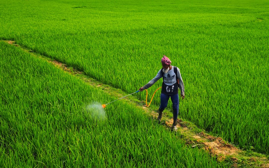 How Much Agricultural Land Does India Have Left — and Why This Scarcity Is the Most Powerful Long-Term Argument for Coorg Farmland