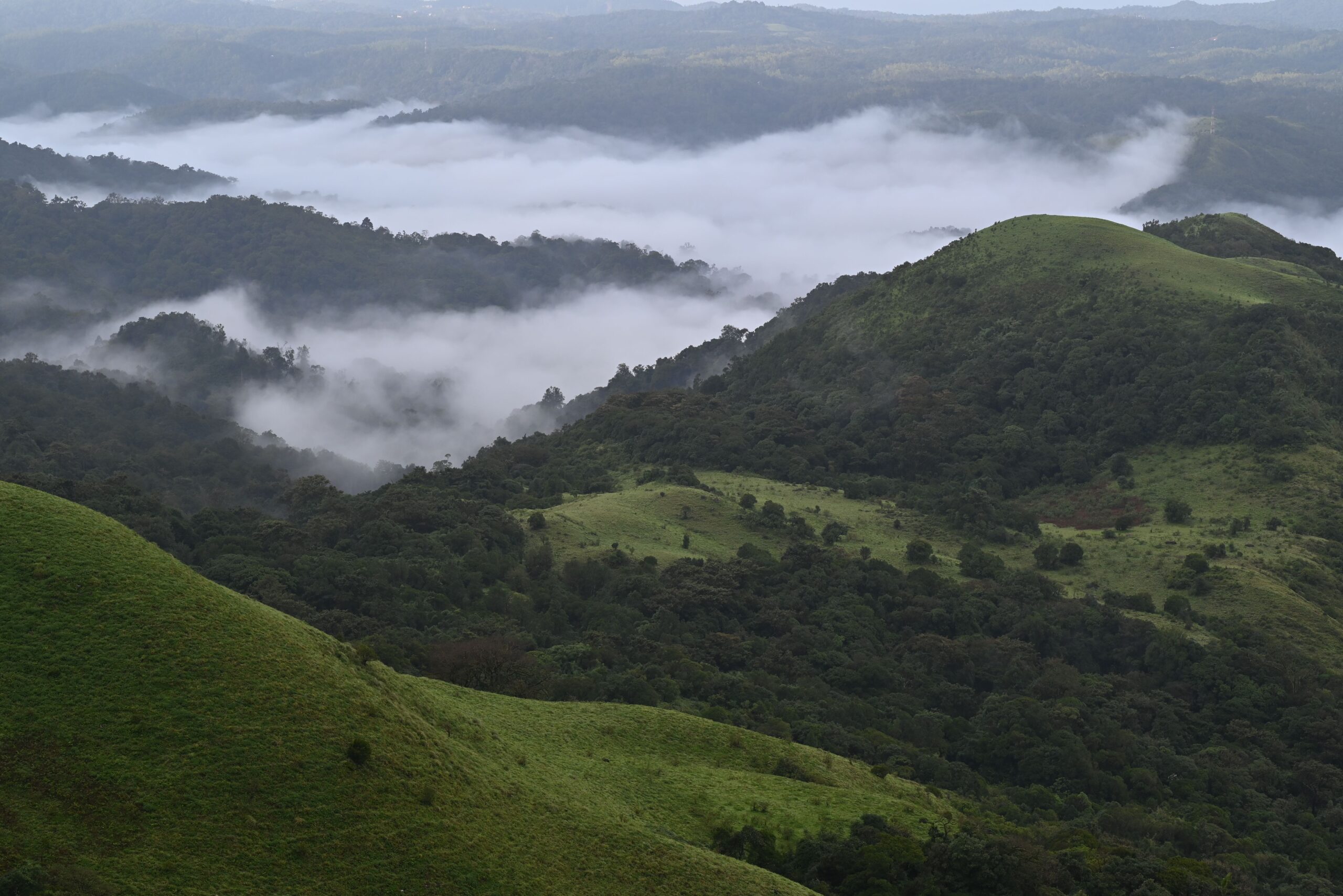 Best time to visit Coorg and Madikeri.
