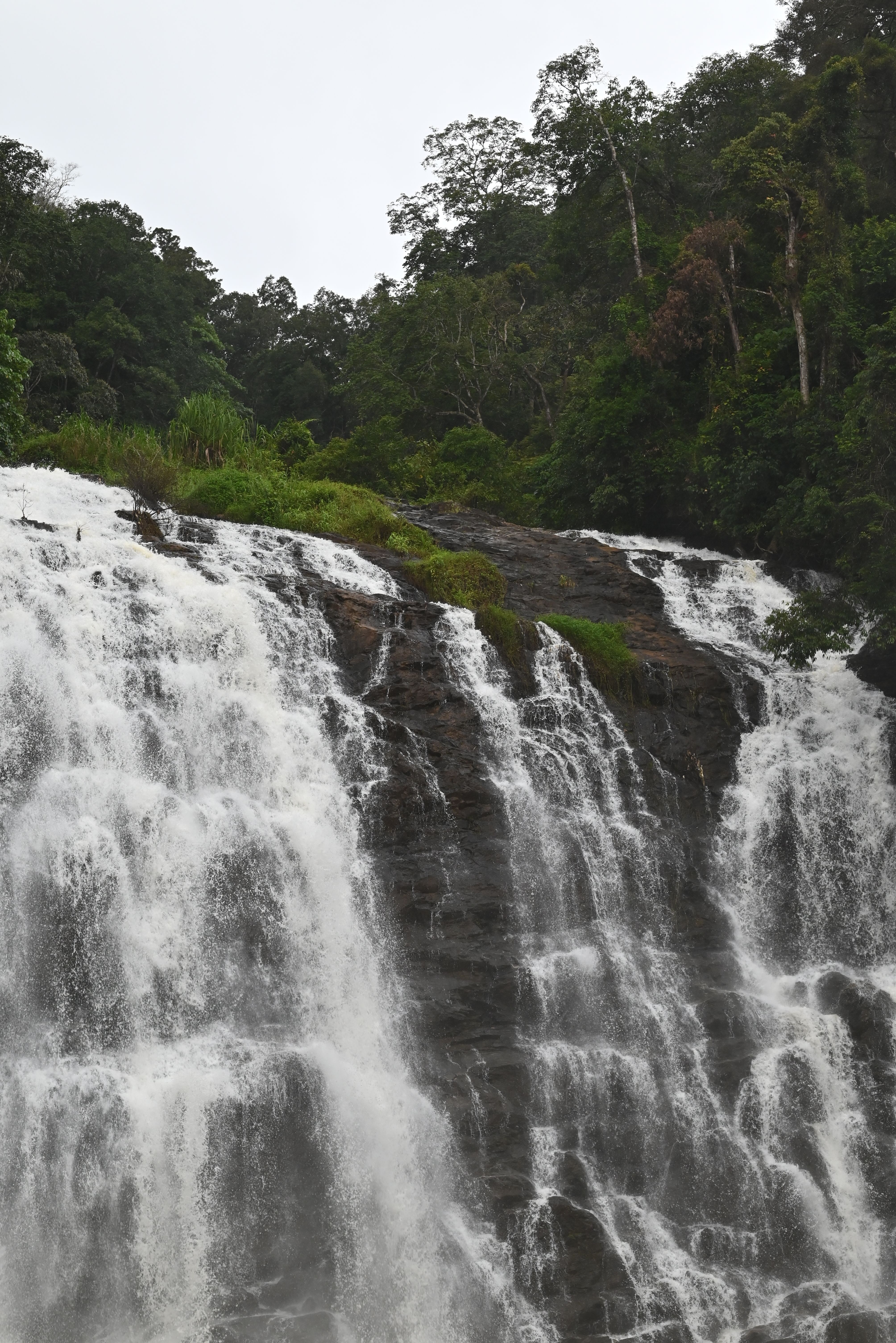 🌊 Best Waterfalls in Coorg: Cascades & Hidden Falls