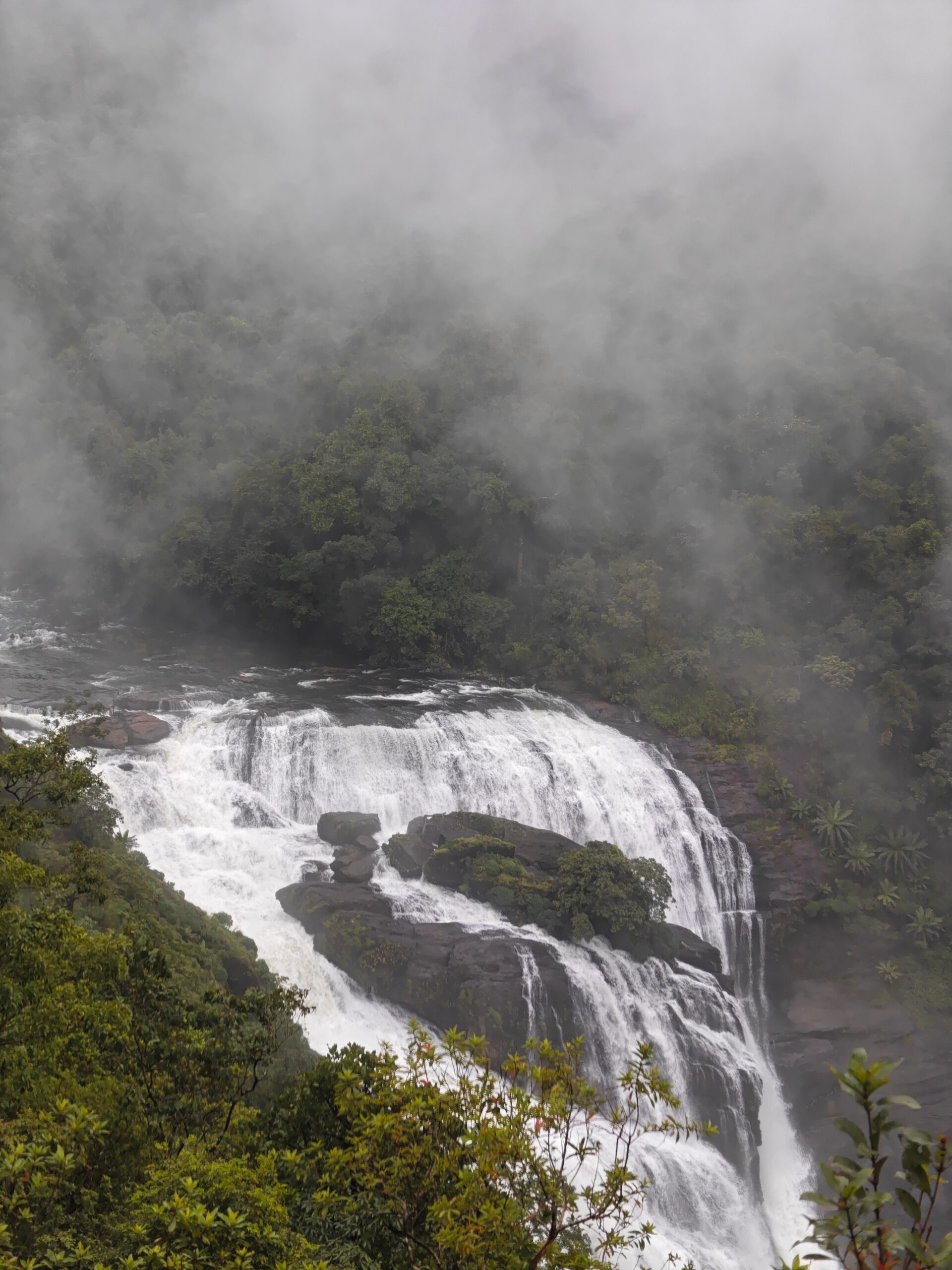 A Complete Guide to Abbey Falls in Coorg