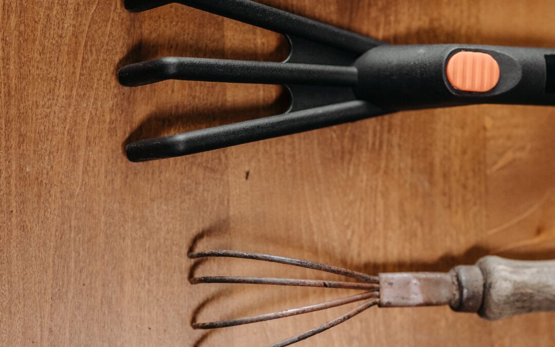 Organic Farming Tools Every Beginner Should Know About