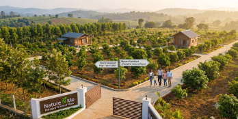The Specific Questions Mysore Farmland Investors Ask That Coorg Investors Do Not — and What They Reveal