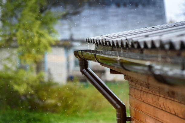 Rainwater Harvesting on a Coorg Coffee Estate: How the Farm Captures Every Drop of the Western Ghats’ Rain