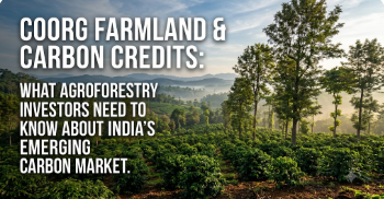 Coorg Farmland and Carbon Credits: What Agroforestry Investors Need to Know About India’s Emerging Carbon Market