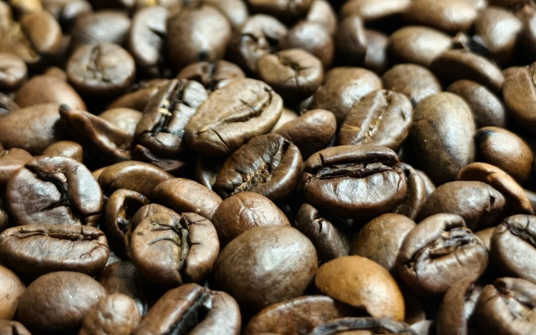 How Coorg Coffee Earns Its Premium: The Full Story of Specialty Grades, GI Tags, and What They Mean for Your Estate Income