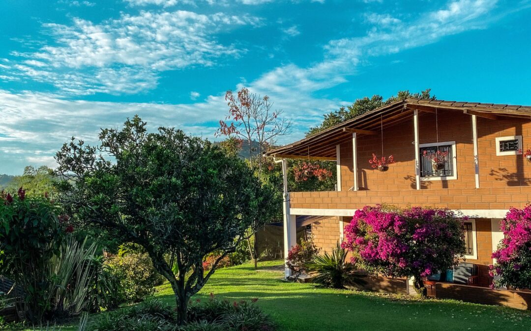 How Managed Farmland in Coorg Generates Tax-Free Income